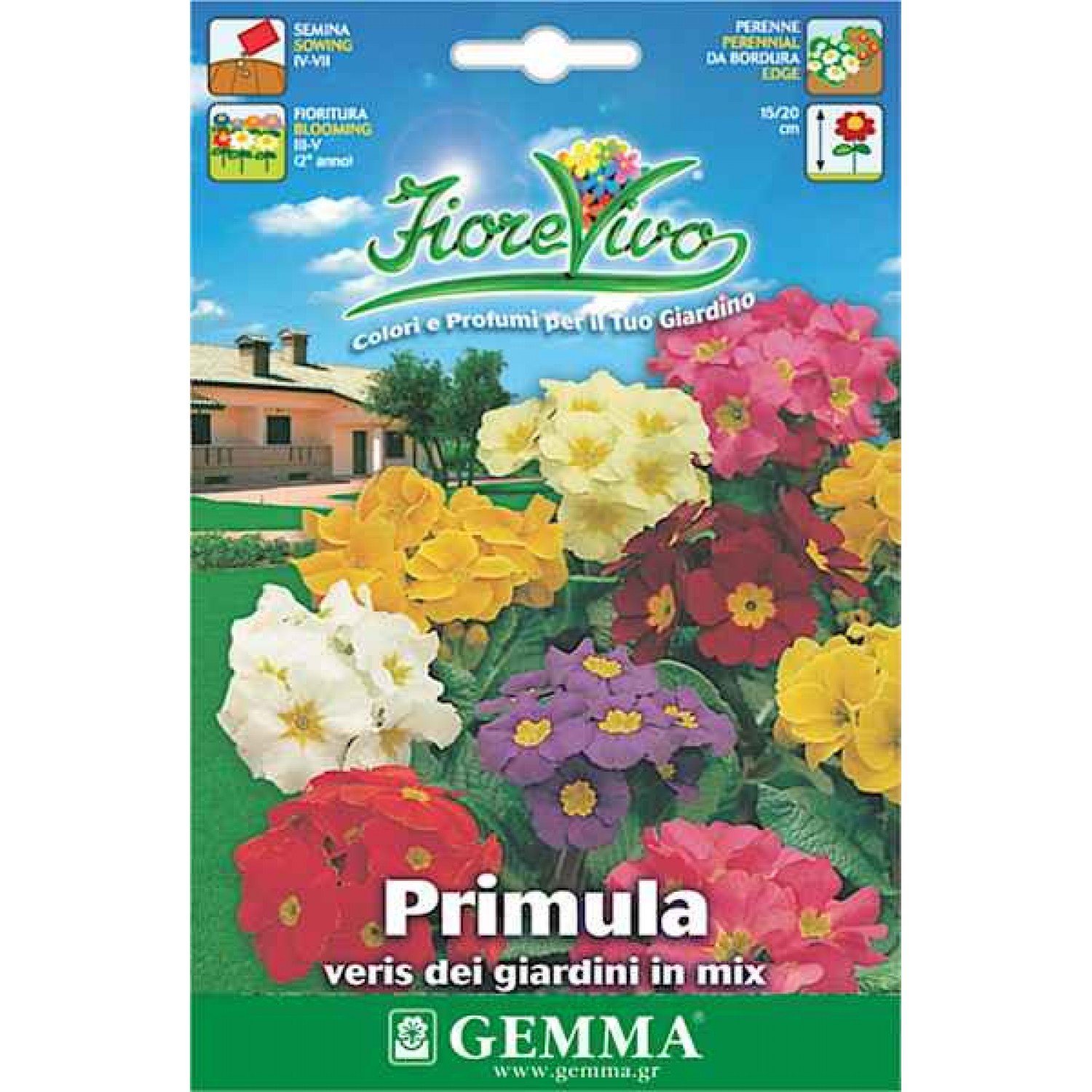 Πρίμουλα Μίγμα 0,05g Σπόροι Φάκελος (Primula acaulis) - Σπόρος για Πρίμουλες Πρίμουλα Μίγμα 0,05g Σπόροι Φάκελος (Primula acaulis)