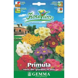 Πρίμουλα Μίγμα 0,05g Σπόροι Φάκελος (Primula acaulis)