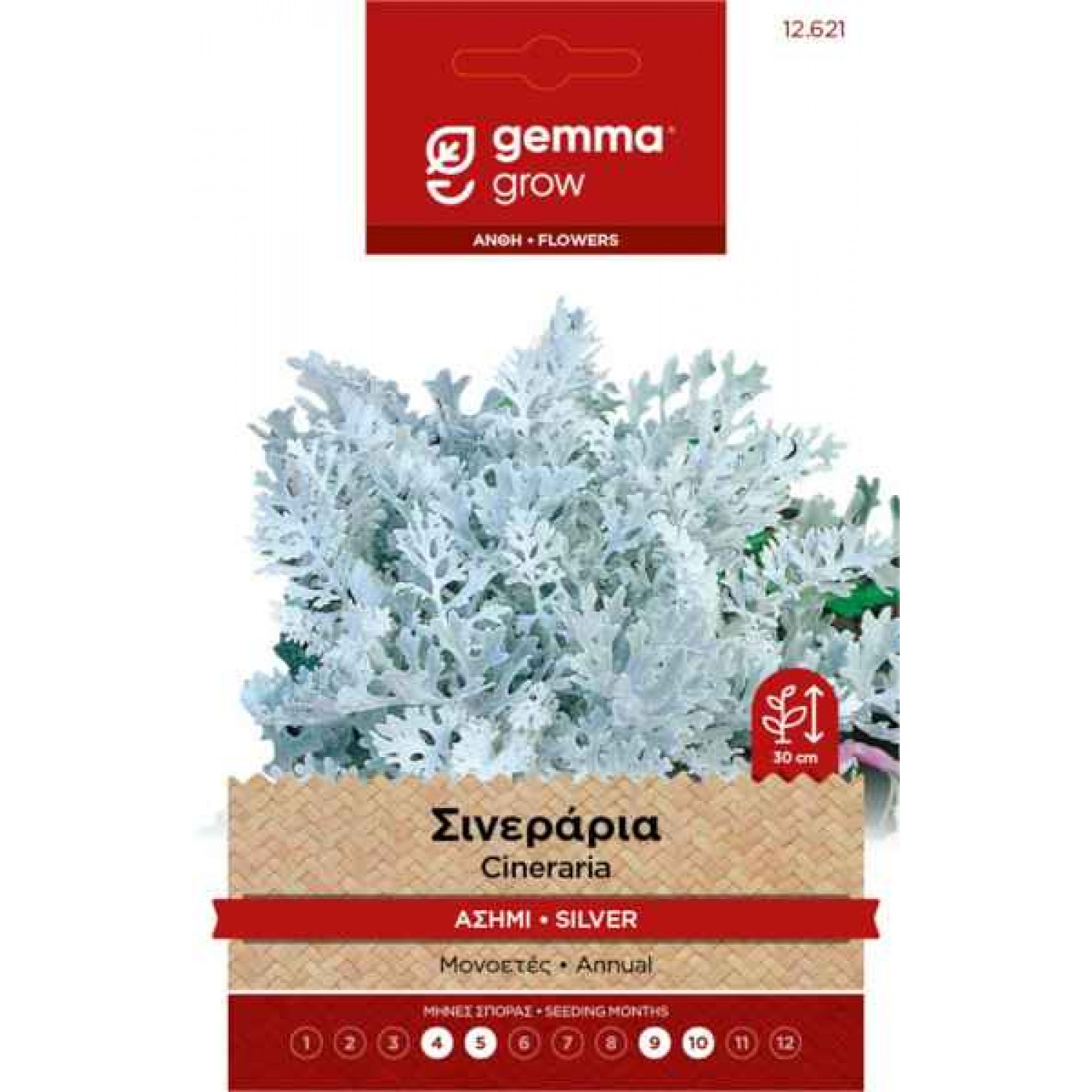 Dusty Miller 0.2g Seeds Packet (Senecio cineraria) - Seed for Dusty Millers Dusty Miller 0.2g Seeds Packet (Senecio cineraria)