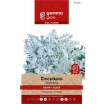 Dusty Miller 0.2g Seeds Packet (Senecio cineraria) - Seed for Dusty Millers Dusty Miller 0.2g Seeds Packet (Senecio cineraria)