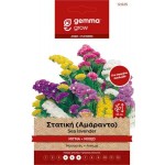 Wavyleaf Sea Lavender Mix 0.2g Seeds Packet (Limonium sinuatum) - Seed for Limoniums Wavyleaf Sea Lavender Mix 0.2g Seeds-Limonium sinuatum