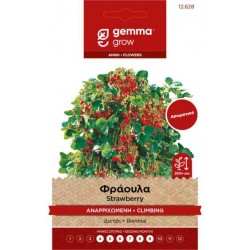 Wild Strawberry 0.15g Seeds Packet (Fragaria vesca)