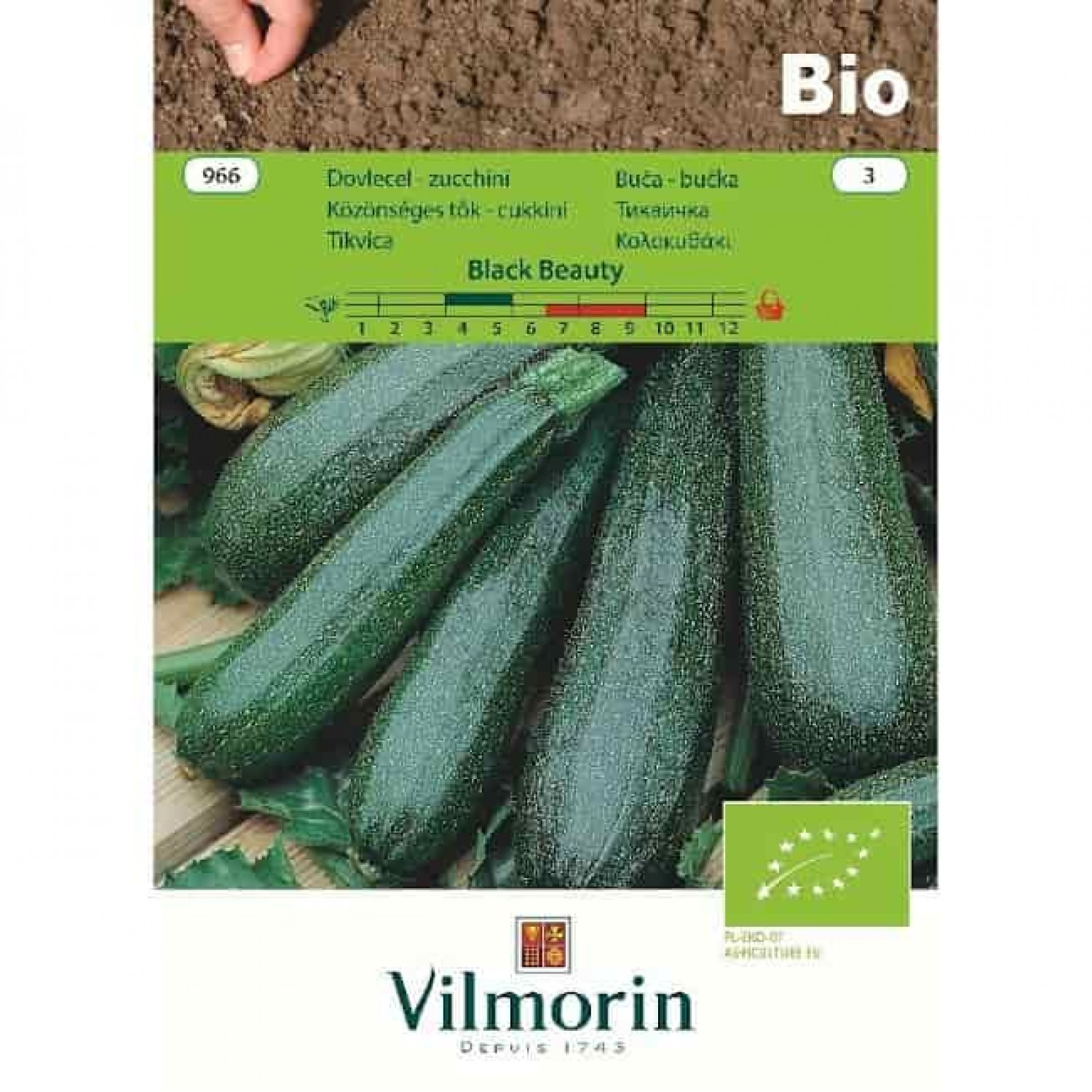 Zucchini Bio Black Beauty 966 VILMORIN | Kipogeorgiki
