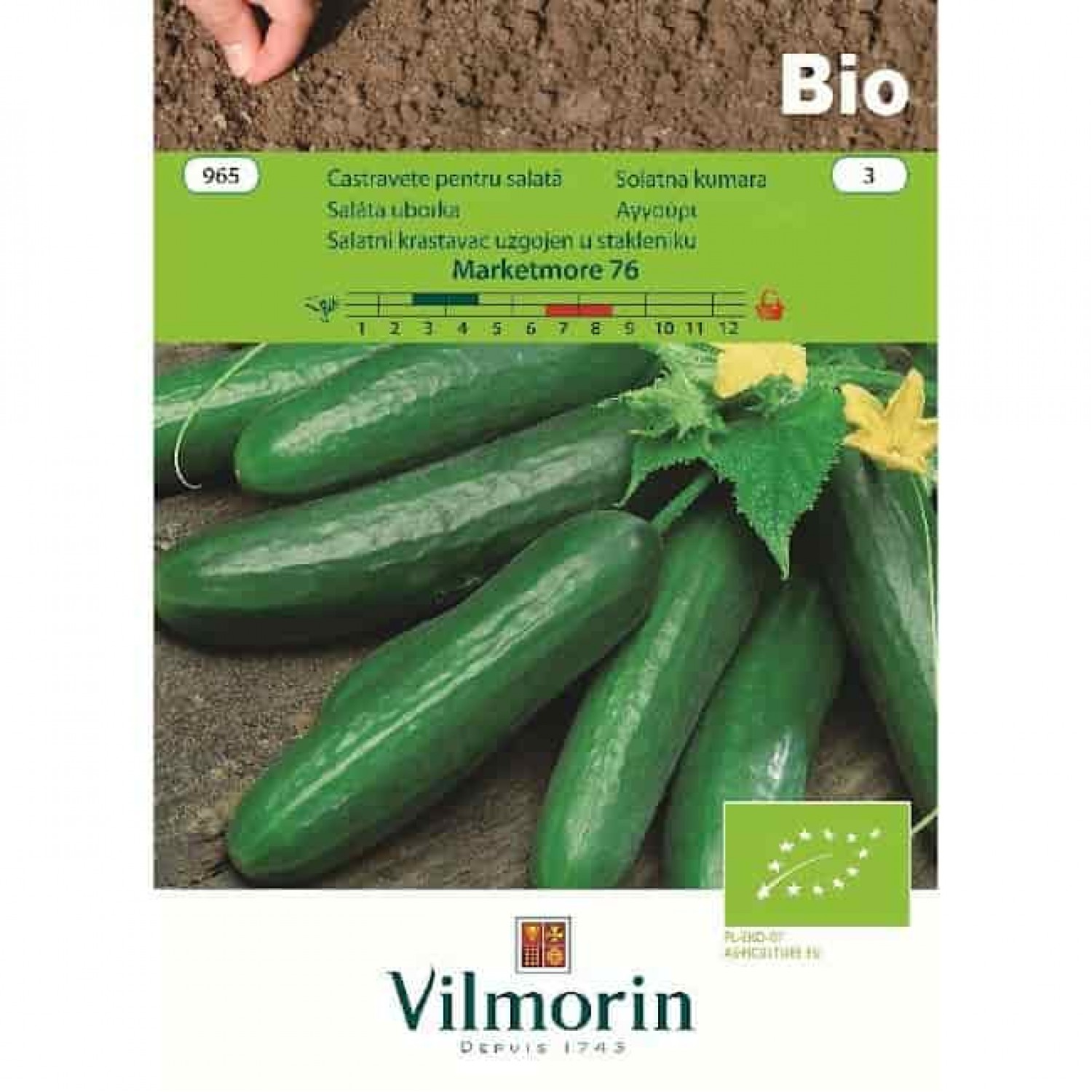 Organic Seeds Cucumber Bio Marketmore 965 VILMORIN
