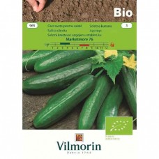Organic Seeds Cucumber Bio Marketmore 965 VILMORIN