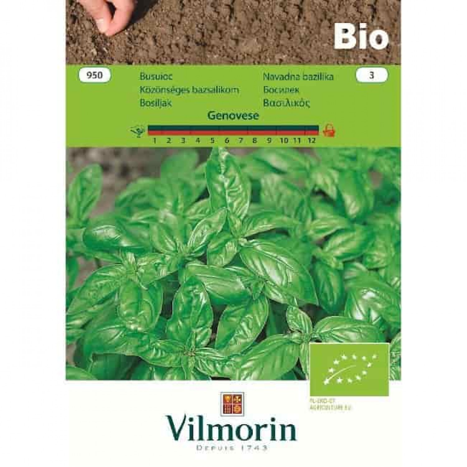 Organic Seeds Basil Bio Genovese VILMORIN | Kipogeorgiki
