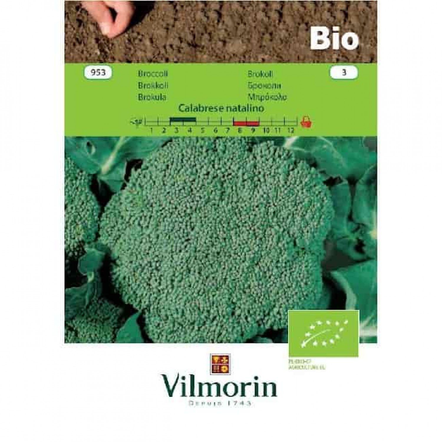 Organic Seeds Broccoli Bio Calabrese VILMORIN | Kipogeorgiki