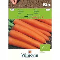 Carrot Bio Nantes 955 VILMORIN - Organic Seeds Organic Seeds Carrot Bio Nantes 955 VILMORIN | Kipogeorgiki