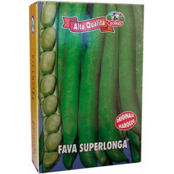Broad Bean Seeds 25kg (Vicia faba 'Superlonga Morocco') Broad Bean Seeds Superlonga 25kg Bag (Vicia faba 'Superlonga Or. Morocco') - Seed for Broad Beans