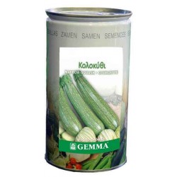Courgette Zucchini 0.5kg Canned Seeds (Curcubita pepo 'Sarzana') - Seed for Zucchinis