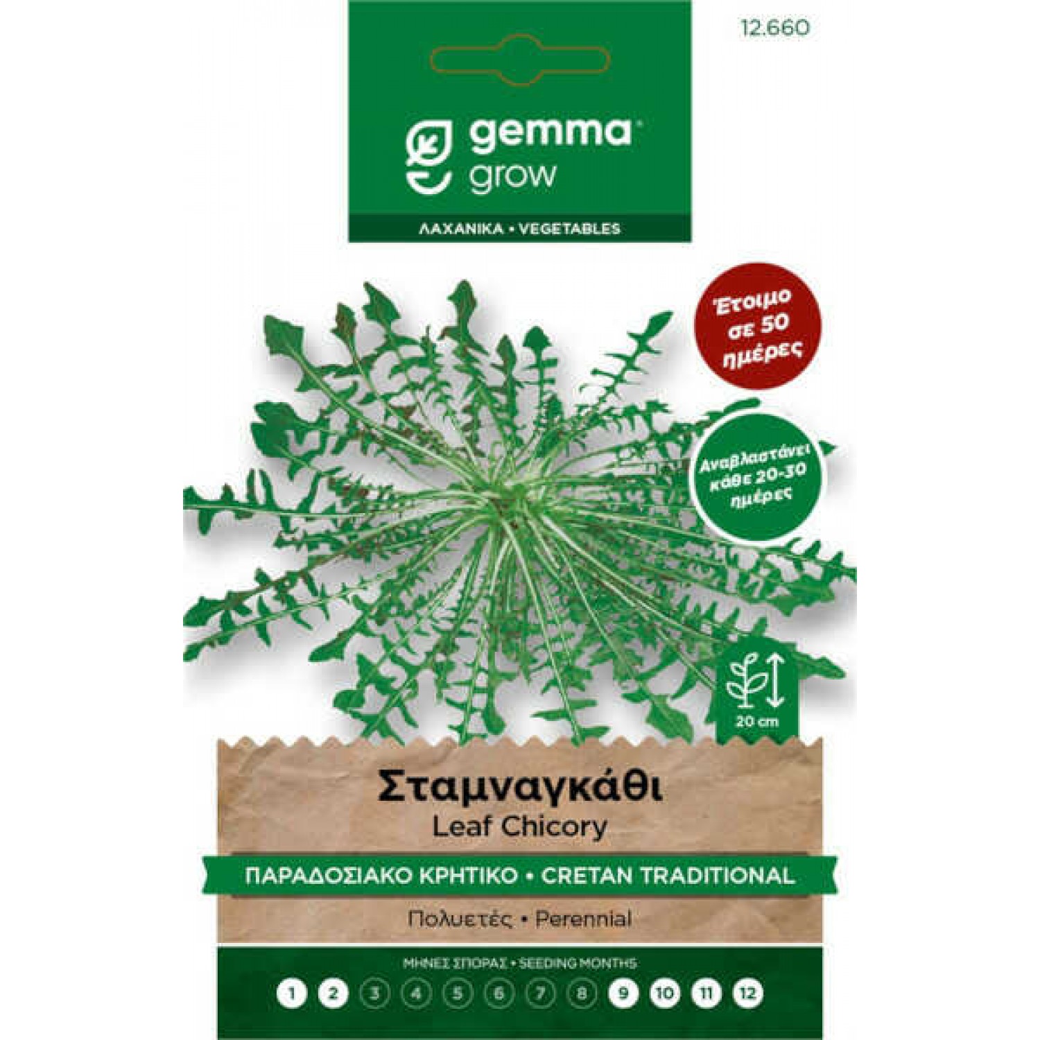 Σταμναγκάθι Κρητικό Παραδοσιακό 2g Σπόροι Φακελάκι (Cichorium intybus 'Cretan') Σταμναγκάθι Κρητικό Παραδοσιακό 2g Σπόροι Φακελάκι