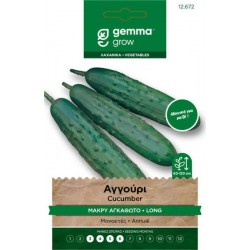 Αγγούρι Cucumis sativus Vert Long Maraicher 1g Σπόροι