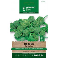 Broccoli Rabe Quarantina Seeds 10g Packet (Brassica rapa cymosa 'Quarantina') Broccoli Rabe Quarantina Seeds 10g-Brassica rapa cymosa