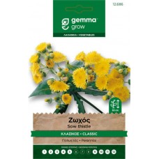 Common Sowthistle Seeds 0.3g Packet (Sonchus oleraceus)