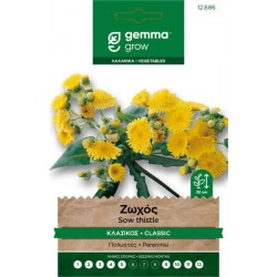 Common Sowthistle Seeds 0.3g Packet (Sonchus oleraceus) - Common Sowthistles, Salad Green Seeds in Packets Common Sowthistle Seeds 0.3g Packet (Sonchus oleraceus)