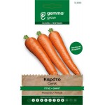 Καρότο Γίγας 2g Σπόροι Φακελάκι Daucus carota Flakkee 2