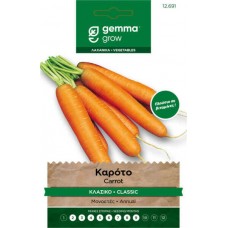 Καρότο Κλασικό 2g Σπόροι (Daucus carota 'Nantes 2')