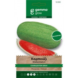Charleston Gray Watermelon Seeds 1,6g Packet (Citrullus lanatus 'Charleston Grey') - Watermelons Seed in Packets Charleston Gray Watermelon Seeds 1,6g Packet