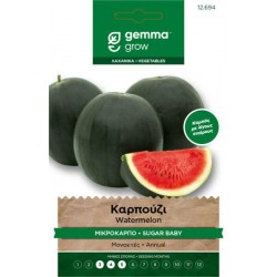 Sugar Baby Watermelon Seeds Packet (Citrullus lanatus 'Sugar Baby') - Watermelons Seed Variety in Packets