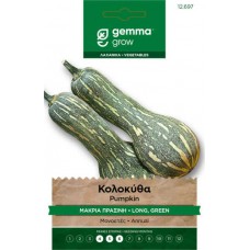 Lunga Invernale Napoli Squash Seeds 4.5g Packet