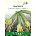 Κολοκυθάκι για Ανθό 2g Σπόροι Φακελάκι (Cucurbita pepo 'Perla') - Σπόρος Κολοκυθιάς σε Φάκελα Κολοκυθάκι για Ανθό 2g Σπόροι Φακελάκι (Cucurbita pepo 'Perla')