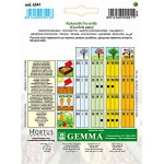 Κολοκυθάκι για Ανθό 2g Σπόροι Φακελάκι (Cucurbita pepo 'Perla') - Σπόρος Κολοκυθιάς σε Φάκελα Κολοκυθάκι για Ανθό 2g Σπόροι Φακελάκι (Cucurbita pepo 'Perla')