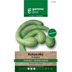 Tromboncino Albenga Squash Seeds 4.5g Packet (Cucurbita moschata 'Tromboncino d' Albenga') - Squashes Seed Tromboncino Albenga Squash Seeds 4.5g Packet