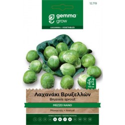 Mezzo Nano Brussels Sprout Seeds 5g Packet