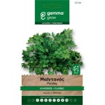 Μαϊντανός Κλασικός 10g Σπόροι Φακελάκι (Petroselinum crispum 'Comune 2') Μαϊντανός Κλασικός 10g Σπόροι Φακελάκι Comune 2