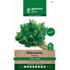Μαϊντανός Γίγας Σπόροι 1kg Κουτί (Petroselinum crispum 'Gigante d'Italia') - Σπόρος για Μαϊντανούς