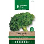 Μαίντανός Σγουρός | kipogeorgiki.gr