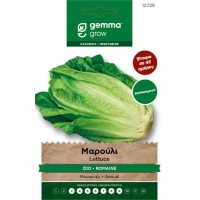 Romaine Biooda Degli Ortolani Lettuce Seeds 6.5g Packet (Lactuca sativa 'Biooda Degli Ortolani')