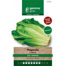 Summer Lettuce Romana Seeds (Lactuca sativa) | kipogeorgiki.gr