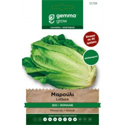 Summer Lettuce Romana Seeds (Lactuca sativa) | kipogeorgiki.gr