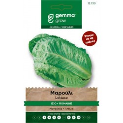 Romaine Verde Deqli Ortolani Lettuce Seeds 6.5g Packet