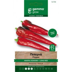 Πιπεριά Κόκκινη Μακριά 0,5g Σπόροι Capsicum anuum Cayenne