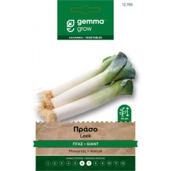 D' Hiver 2 European Leek Seeds 4.5g Packet (Allium porrum 'D' Hiver 2') - Peppers Seed in Packets European Leek Seeds 4.5g (Allium porrum 'D' Hiver 2')