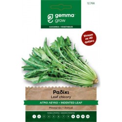 Catalogna Frastagliata Wild Chicory Seeds 10g Packet (Chichorium intybus 'Catalogna Frastagliata') Catalogna Frastagliata Wild Chicory Seeds 10g Packet