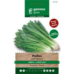 Catalogna Foglie Larghe Chicory Seeds 10g Packet (Chichorium intybus 'Catalogna a Foglie Larghe') Catalogna Foglie Larghe Chicory Seeds 10g Packet