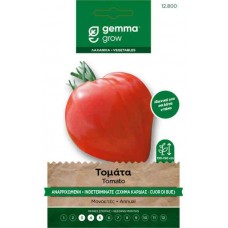 Solanum lycopersicum Oxheart Tomato Seeds 1g Packet