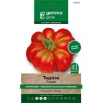 Saint Pierre Tomato Seeds 1.5 (Solanum lycopersicum)