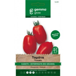 Rio Grande Seeds Tomato 1.5 Packet Solanum lycopersicum