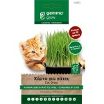 Χόρτο για Γάτες 4g Σπόροι Mix Κριθαριού-Βρώμης-Σίκαλης