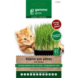 Cat Grass Seeds 10g Packet (Mix of Barley, Oats, Rye) - Special Mix Seeds for Domestic Pets Cat Grass Seeds 10g Packet (Mix of Barley, Oats, Rye)