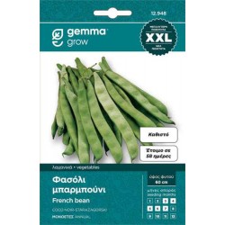 Green Bean Starozagorski Seeds 5kg Bag (Phaseolus vulgaris ‘Starozagorski’) Gemma - Beans Seed
