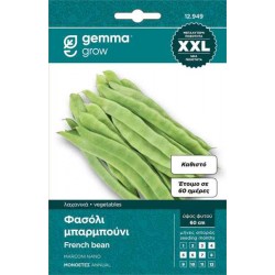 Dwarf French Bean Seeds Marconi 5kg Bag (Phaseolus vulgaris ‘Marconi’) Gemma - Seed for Green Beans