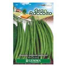 Φασόλι Τσαουλί Άνευρο Νάνο Perfection 40g Σπόροι Φάκελος [826] Gemma (Phaseolus vulgaris 'Perfection') - Σπόρος Φασολιών