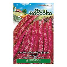 Dwarf Bean Firetongue Seeds 65g