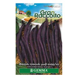 Climbing Bean Violet Podded Seeds 65g (Phaseolus vulgaris 'Violet Podded') Climbing Bean Violet Podded Seeds 65g