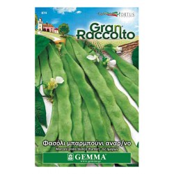 Climbing French Bean Hunter Seeds 65g (Phaseolus vulgaris 'Hunter') Climbing French Bean Hunter Seeds 65g